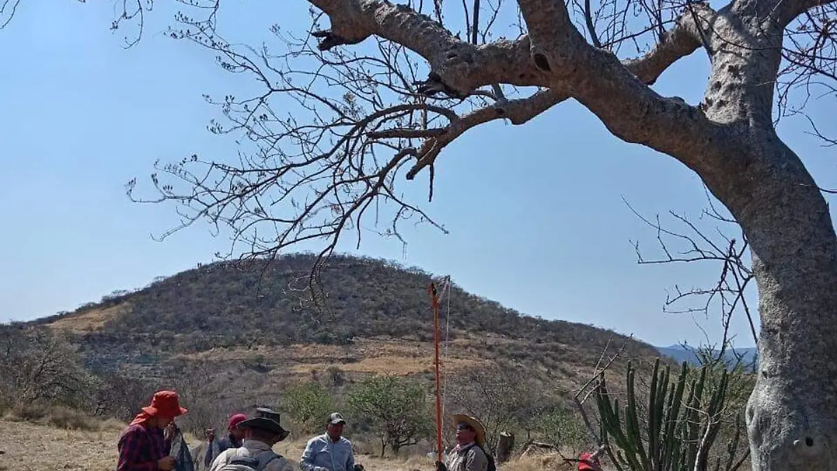 chimalacatlán-tlaquiltenango (3)